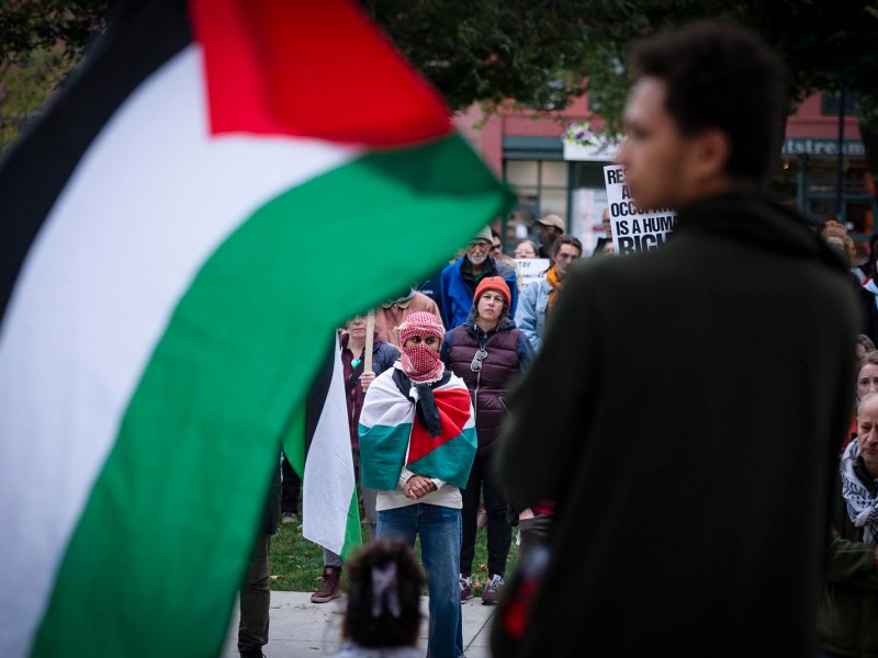 A group of people holding a palestinian flag in front of a crowd.