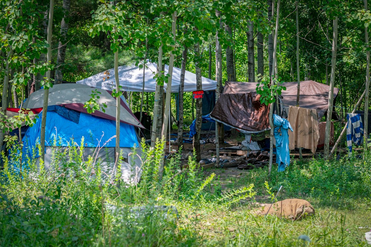 A campsite with tents, tarps, and clothes hanging on lines is set up among trees in a wooded area with green vegetation.