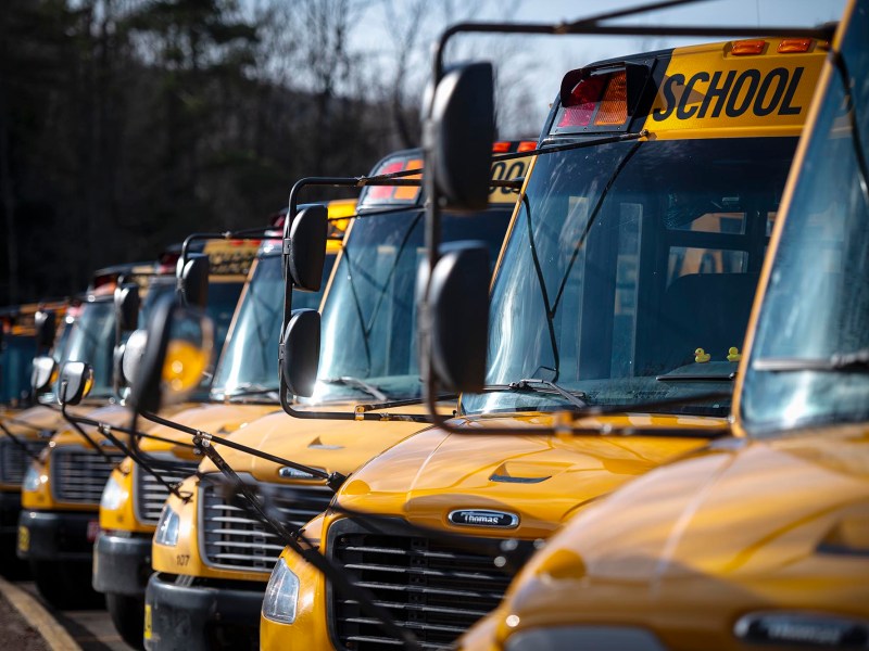 A row of yellow school buses.